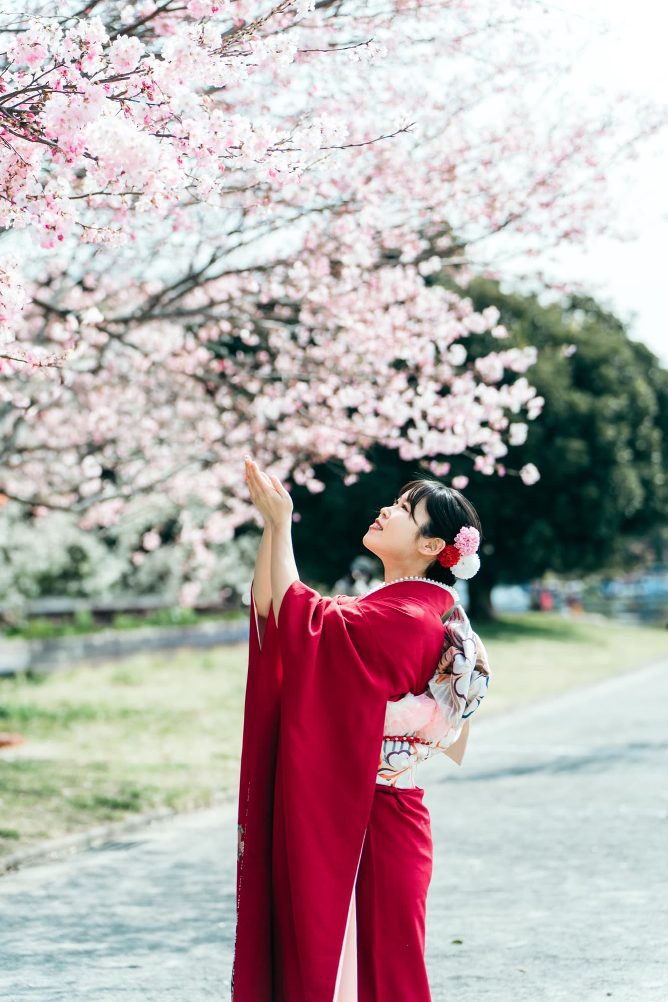 成人式 振袖 桜 ロケーション撮影