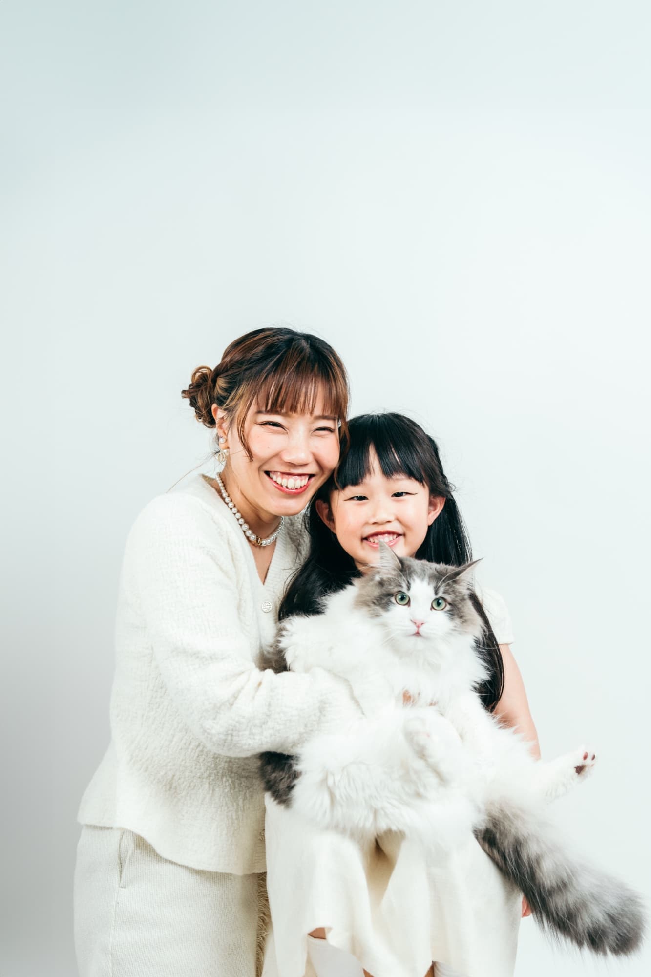 看板猫ラテちゃん 親子 スタジオ 横浜